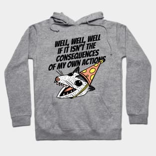 Opossum The Consequences Of My Actions Hoodie